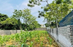 Giá đất nền tăng mạnh, có nơi tăng đến 100%