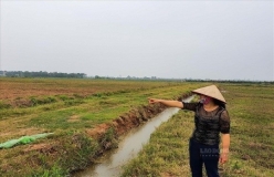 Chuyển đất nông nghiệp lên đất thổ cư năm 2026: Những điều cần biết